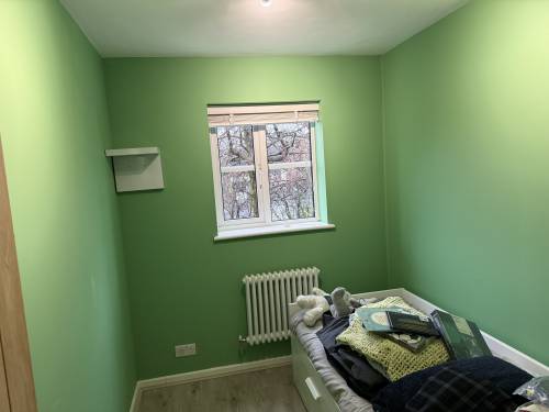 Freshly painted green bedroom